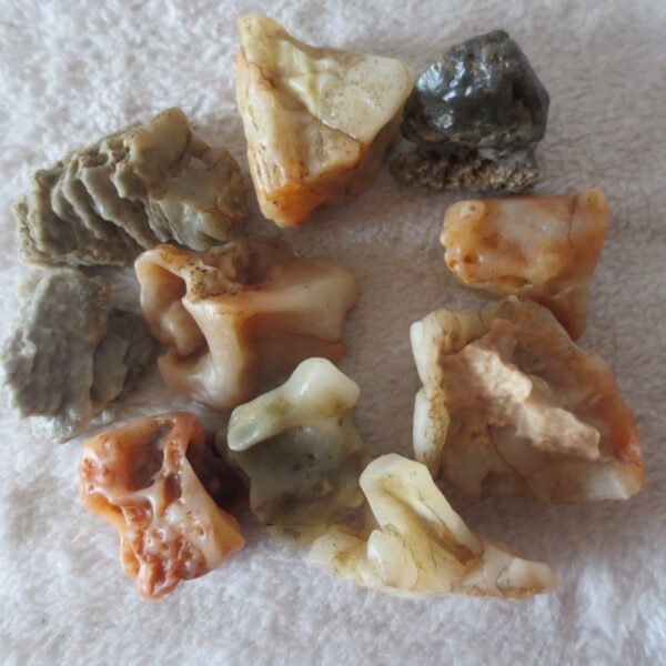 gobi desert raw rough stones natural mountain gobi rocks specimen for table decor. (p67)