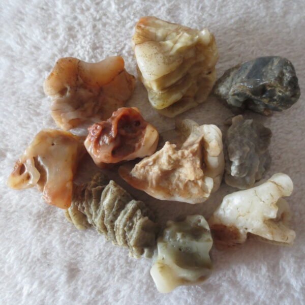 gobi desert raw rough stones natural mountain gobi rocks specimen for table decor. (p67)