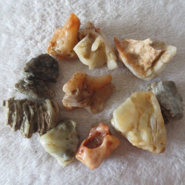 gobi desert raw rough stones natural mountain gobi rocks specimen for table decor. (p67)