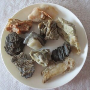 gobi desert raw rough stones natural mountain gobi rocks specimen for table decor. (p67) (copy)
