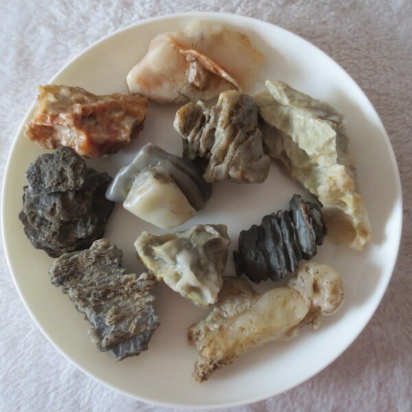 gobi desert raw rough stones natural mountain gobi rocks specimen for table decor. (p67) (copy)