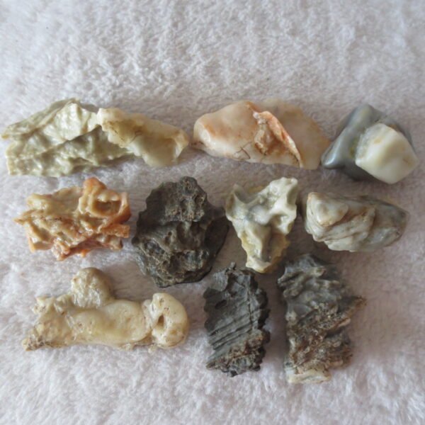 gobi desert raw rough stones natural mountain gobi rocks specimen for table decor. (p68)