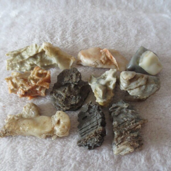 gobi desert raw rough stones natural mountain gobi rocks specimen for table decor. (p68)