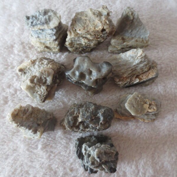 gobi desert raw rough stones natural mountain gobi rocks specimen for table decor. (p68) (copy)