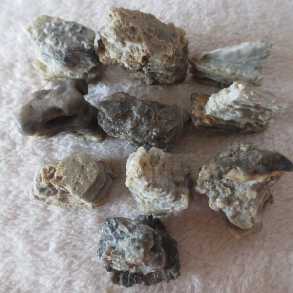 gobi desert raw rough stones natural mountain gobi rocks specimen for table decor. (p68) (copy)