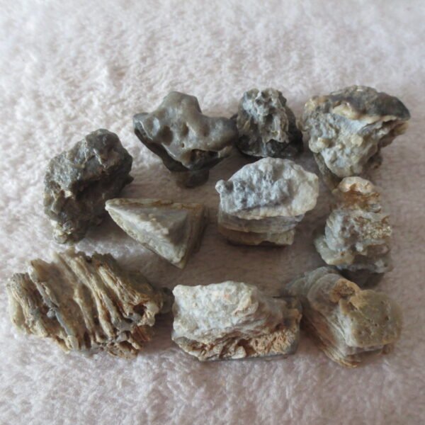 gobi desert raw rough stones natural mountain gobi rocks specimen for table decor. (p68) (copy)