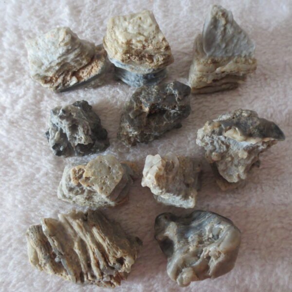 gobi desert raw rough stones natural mountain gobi rocks specimen for table decor. (p68) (copy)