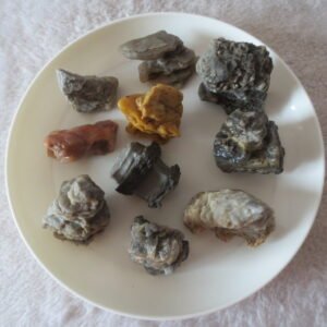 gobi desert raw rough stones natural mountain gobi rocks specimen for table decor. (p69) (copy)