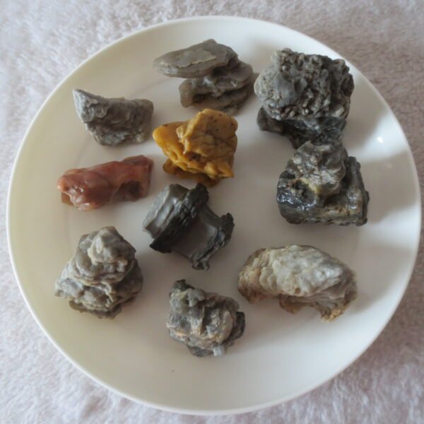 gobi desert raw rough stones natural mountain gobi rocks specimen for table decor. (p69) (copy)