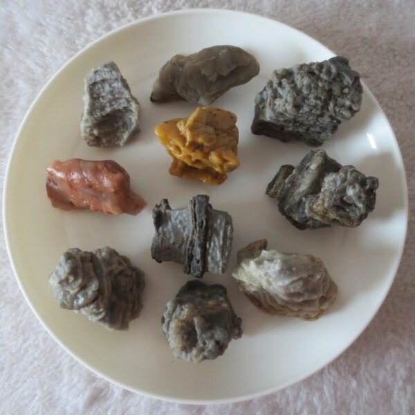 gobi desert raw rough stones natural mountain gobi rocks specimen for table decor. (p69) (copy)