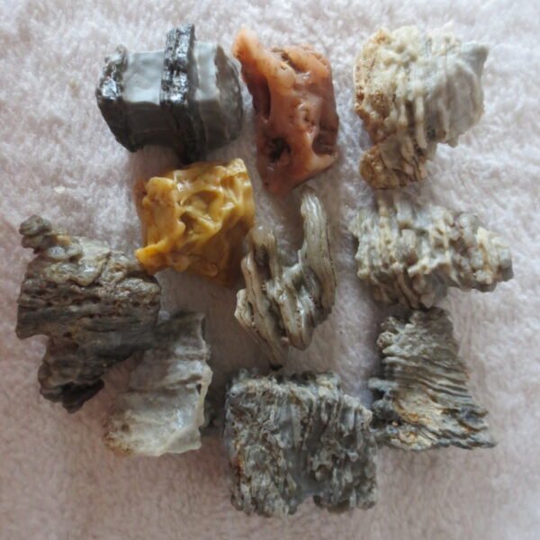 gobi desert raw rough stones natural mountain gobi rocks specimen for table decor. (p70)