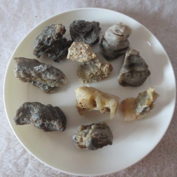 gobi desert raw rough stones natural mountain gobi rocks specimen for table decor. (p71)