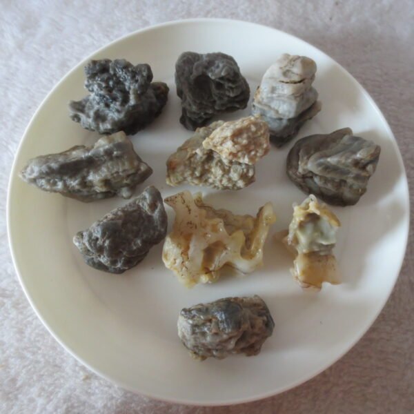 gobi desert raw rough stones natural mountain gobi rocks specimen for table decor. (p71)