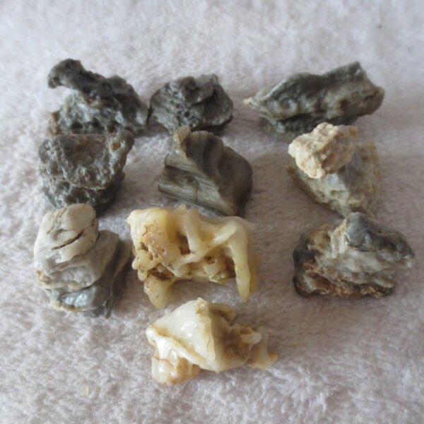 gobi desert raw rough stones natural mountain gobi rocks specimen for table decor. (p71)