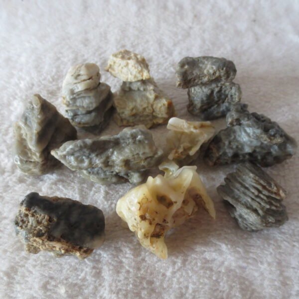 gobi desert raw rough stones natural mountain gobi rocks specimen for table decor. (p71)