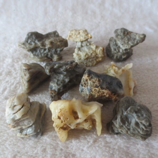 gobi desert raw rough stones natural mountain gobi rocks specimen for table decor. (p71)