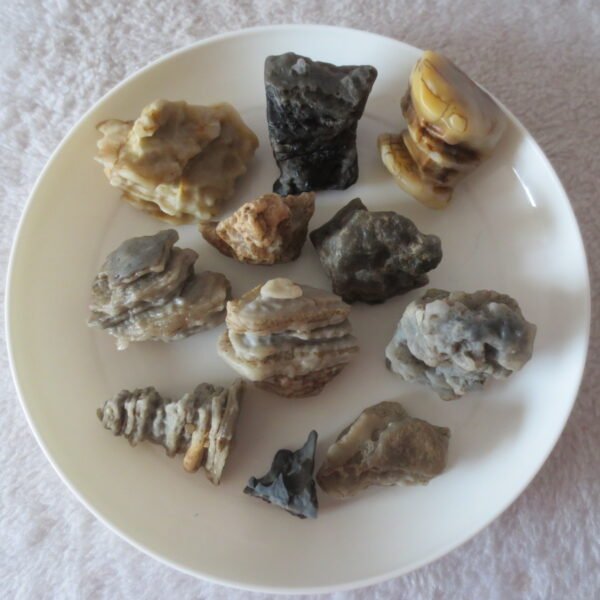 gobi desert raw rough stones natural mountain gobi rocks specimen for table decor. (p72)