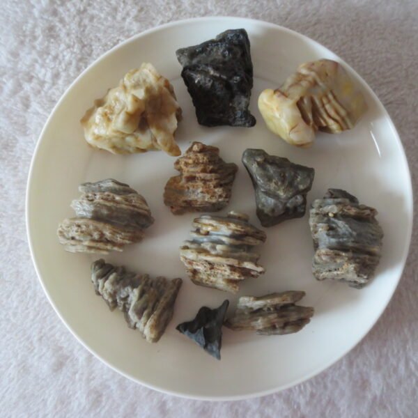 gobi desert raw rough stones natural mountain gobi rocks specimen for table decor. (p72)