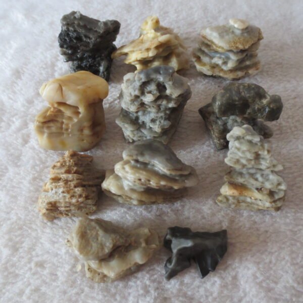 gobi desert raw rough stones natural mountain gobi rocks specimen for table decor. (p72)