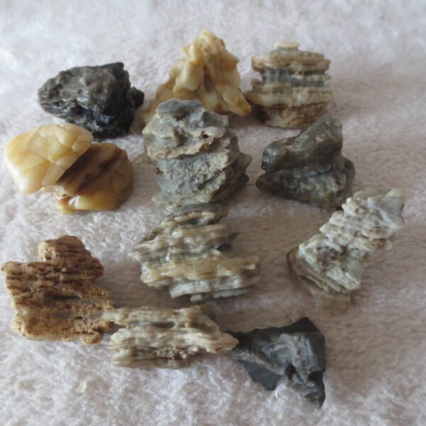 gobi desert raw rough stones natural mountain gobi rocks specimen for table decor. (p72)