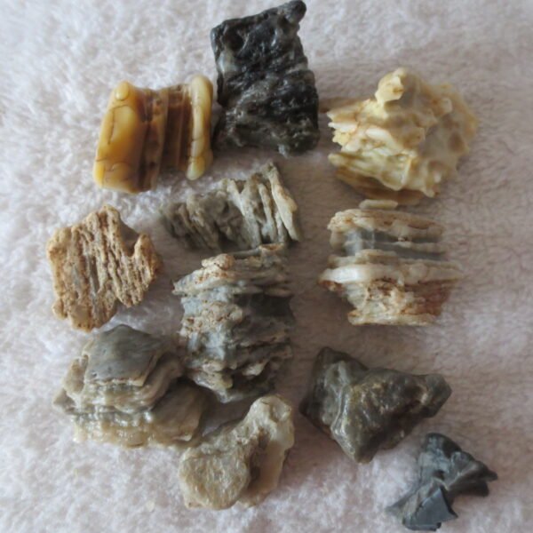gobi desert raw rough stones natural mountain gobi rocks specimen for table decor. (p72)