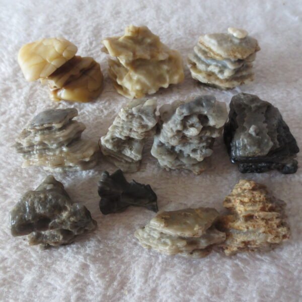 gobi desert raw rough stones natural mountain gobi rocks specimen for table decor. (p72)