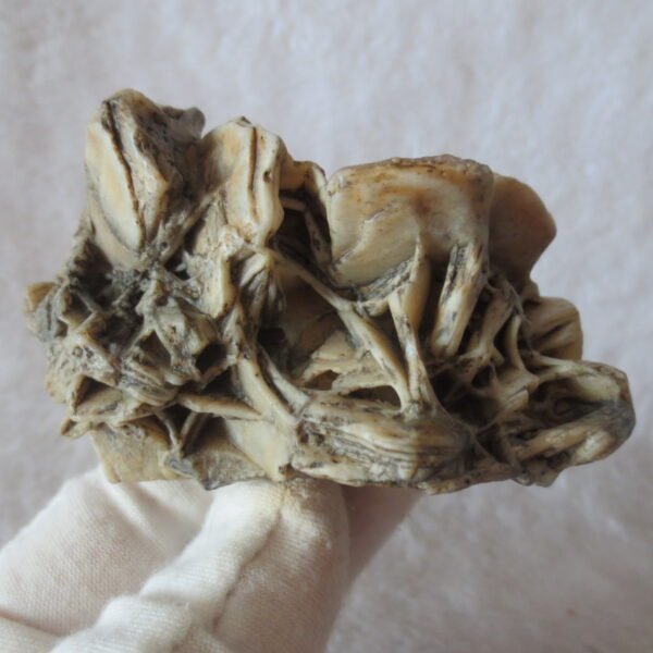 natural gobi skeleton stone (ji gu stone), boxwork ventifact, desert viewing stone (u30）