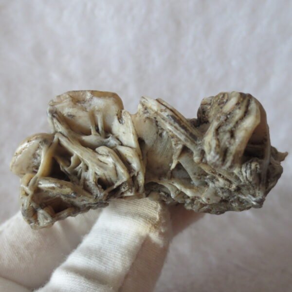 natural gobi skeleton stone (ji gu stone), boxwork ventifact, desert viewing stone (u30）