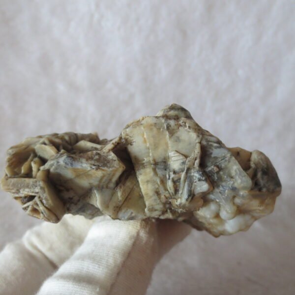 natural gobi skeleton stone (ji gu stone), boxwork ventifact, desert viewing stone (u30）