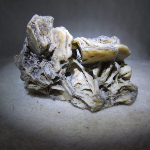 natural gobi skeleton stone (ji gu stone), boxwork ventifact, desert viewing stone (u30）
