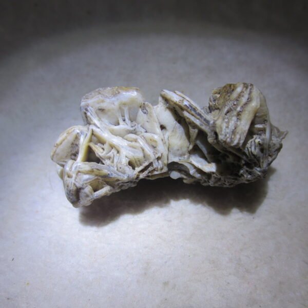 natural gobi skeleton stone (ji gu stone), boxwork ventifact, desert viewing stone (u30）