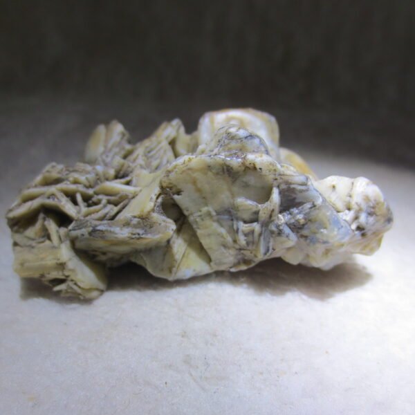 natural gobi skeleton stone (ji gu stone), boxwork ventifact, desert viewing stone (u30）
