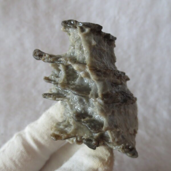 mountain shaped gobi wind carved layered agate natural rough stone specimen (v05) (copy)