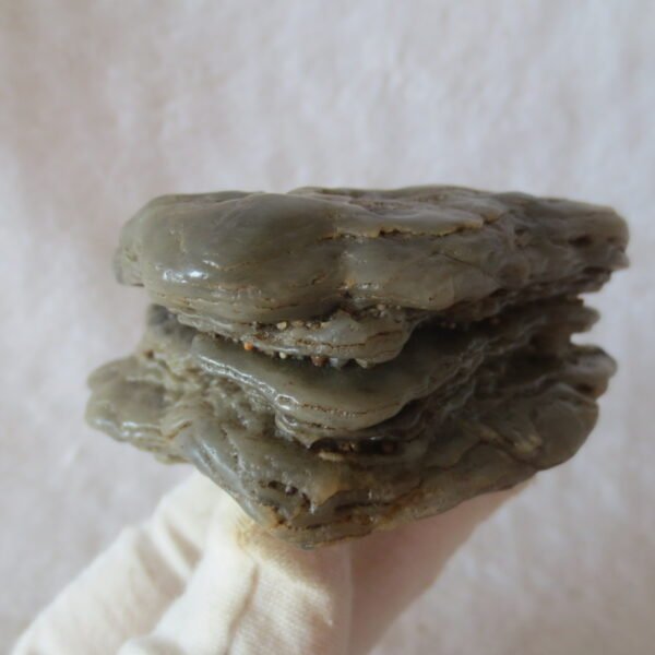 mountain shaped gobi wind carved layered agate natural rough stone specimen (v09)