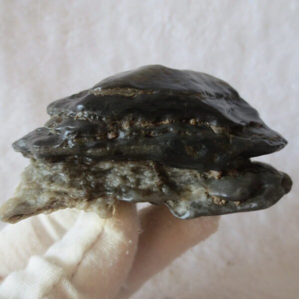 mountain shaped gobi wind carved layered agate natural rough stone specimen (v12)