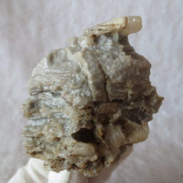 mountain shaped gobi wind carved layered agate natural rough stone specimen (v14) (copy)
