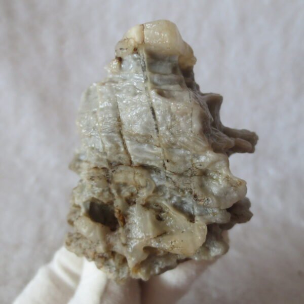 mountain shaped gobi wind carved layered agate natural rough stone specimen (v14) (copy)