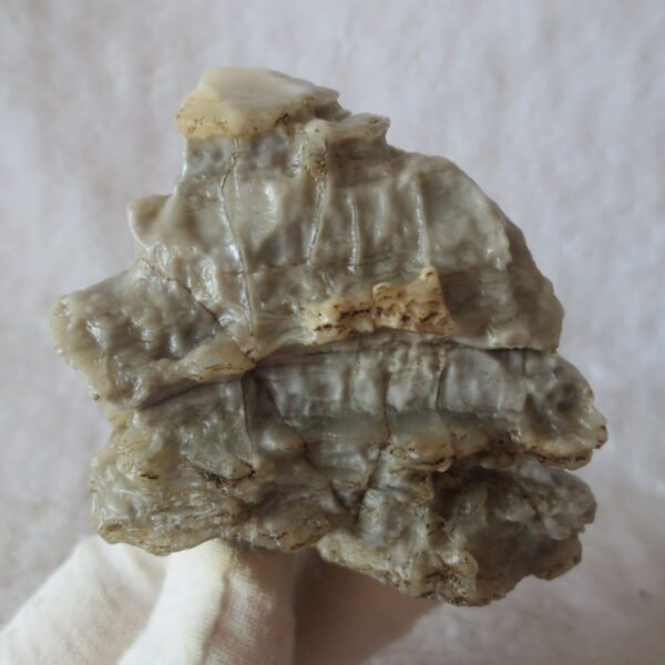 mountain shaped gobi wind carved layered agate natural rough stone specimen (v15)
