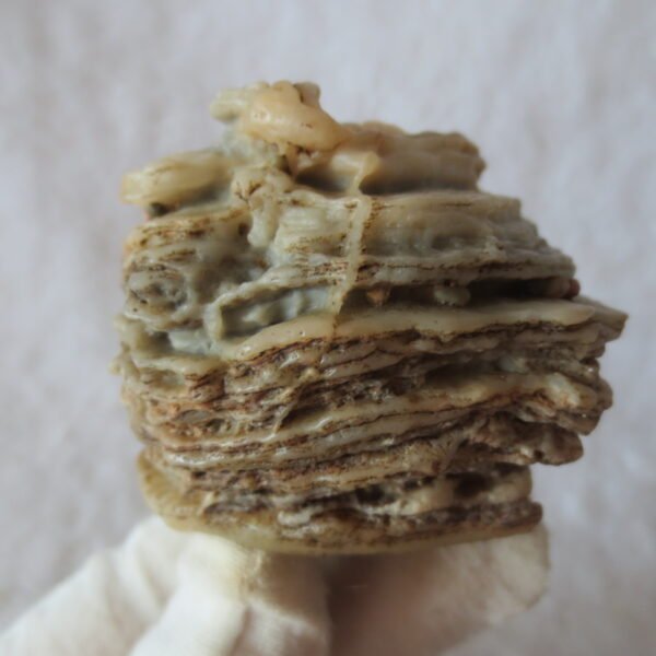 mountain shaped gobi wind carved layered agate natural rough stone specimen (v16)