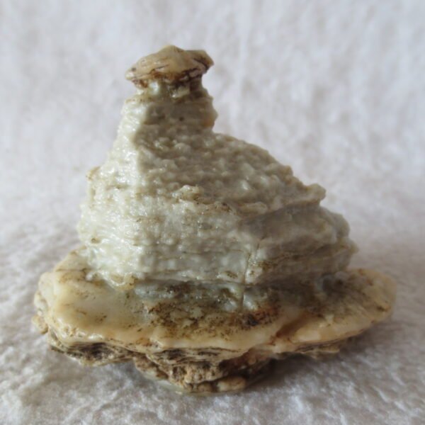 mountain shaped gobi wind carved layered agate natural rough stone specimen (v17)