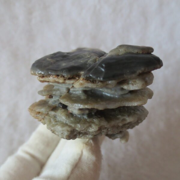 mountain shaped gobi wind carved layered agate natural rough stone specimen (v21)
