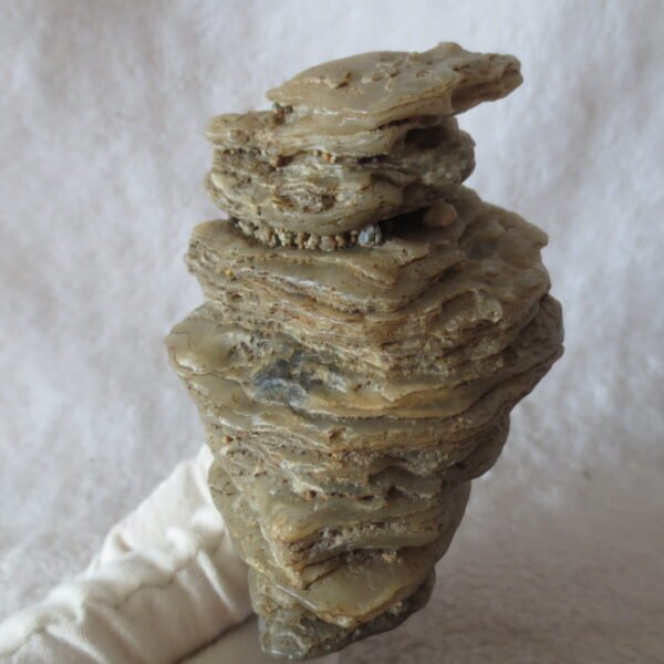 mountain shaped gobi wind carved layered agate natural rough stone specimen (v35)