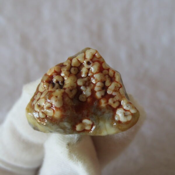 natural gobi vein agate raw stone, jinmai stone specimen (q06） (copy)