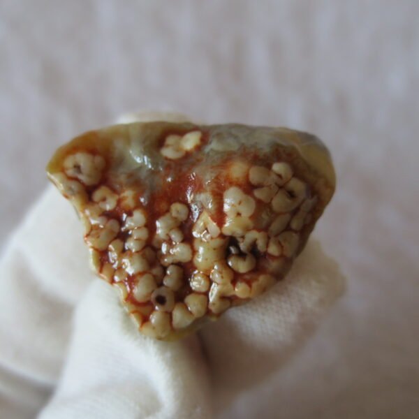 natural gobi vein agate raw stone, jinmai stone specimen (q06） (copy)