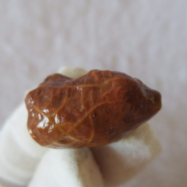 natural gobi vein agate raw stone, jinmai stone specimen (q12） (copy)