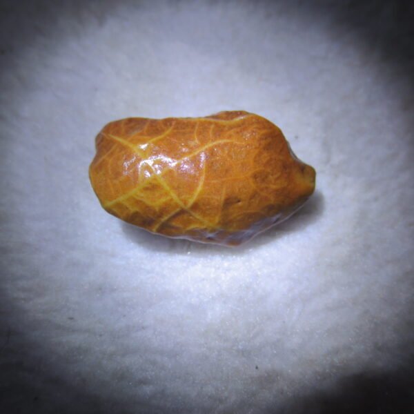 natural gobi vein agate raw stone, jinmai stone specimen (q12） (copy)