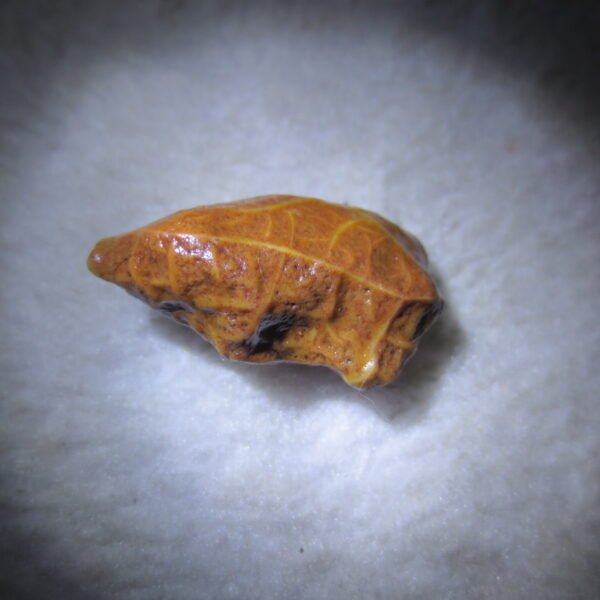 natural gobi vein agate raw stone, jinmai stone specimen (q12） (copy)