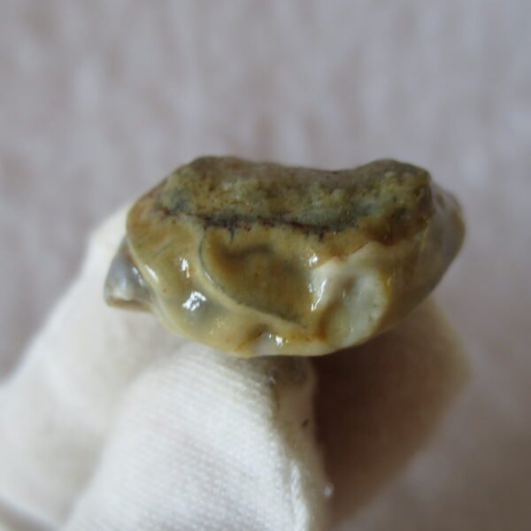 natural gobi vein agate raw stone, jinmai stone specimen (q18） (copy)