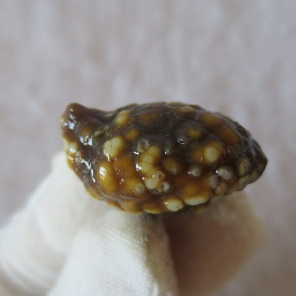 natural gobi vein agate raw stone, jinmai stone specimen (q21) (copy)