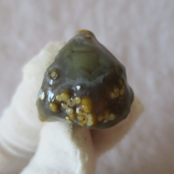 natural gobi vein agate raw stone, jinmai stone specimen (q22） (copy)